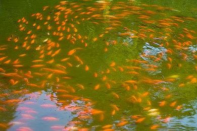 消息称任天堂神秘新作《笑脸男》并非恐怖游戏